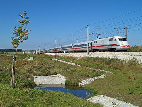 DB11335