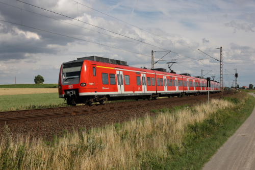 DB12313