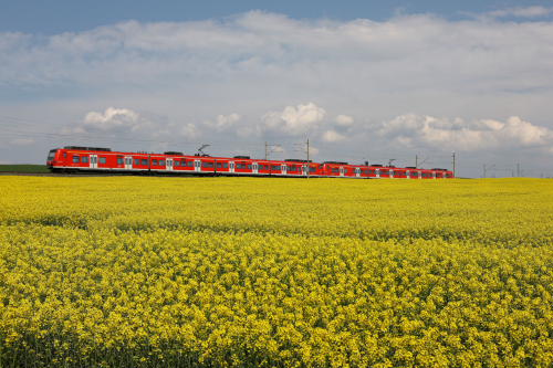 DB12317