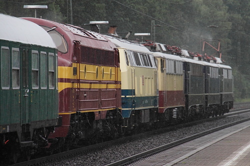 dbmuszug3