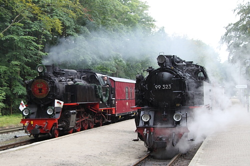 99 323 mit ihrem GmP wird am 6. August 2011 auf dem Bahnhof Heiligendamm vom Planzug überholt.