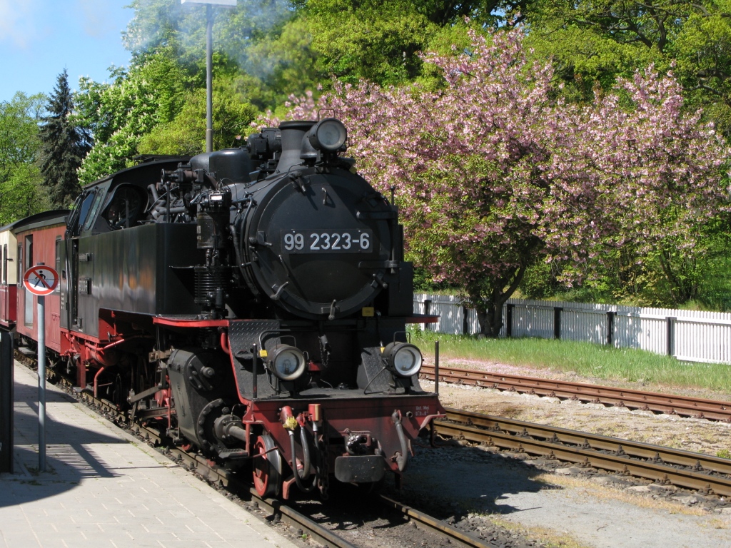 mollidoberan