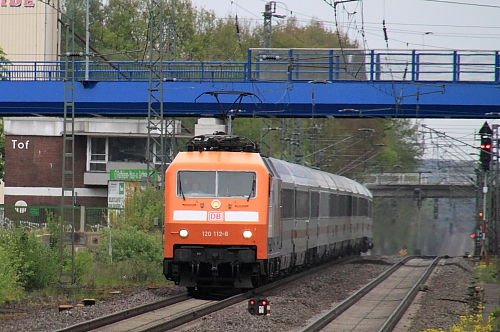 cxIMG_8448_1