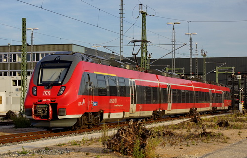 2013-DSC06695a