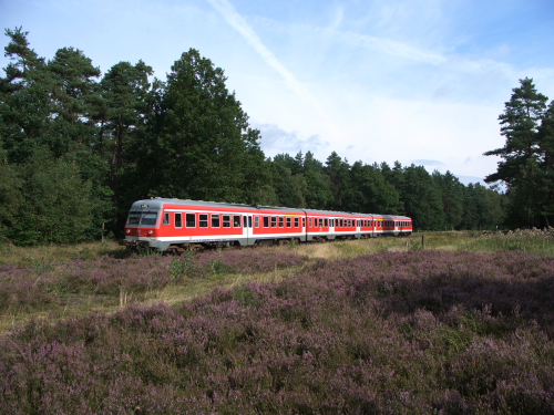 x80 617