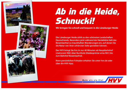 xschnucki