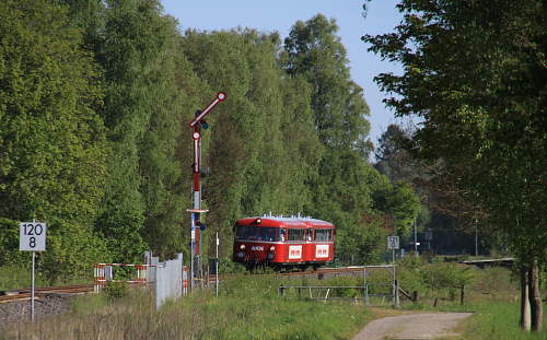 x1xIMG 7604