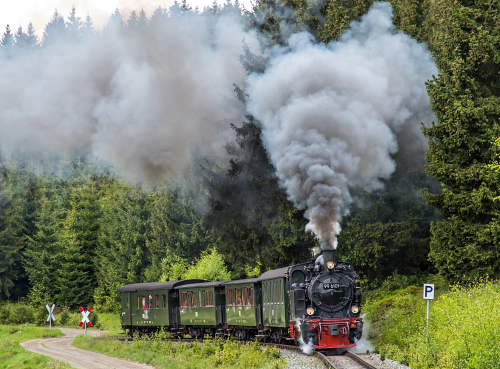 xFotofahrt2  99 6101 Foto HSB Dirk Bahnsen