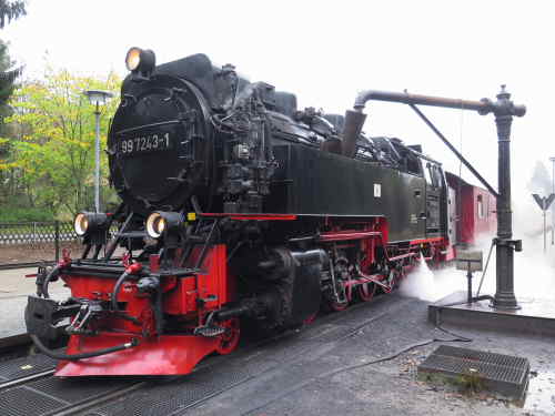 xIMG 4773