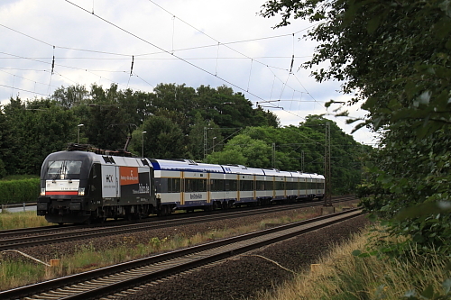 xIMG 9558