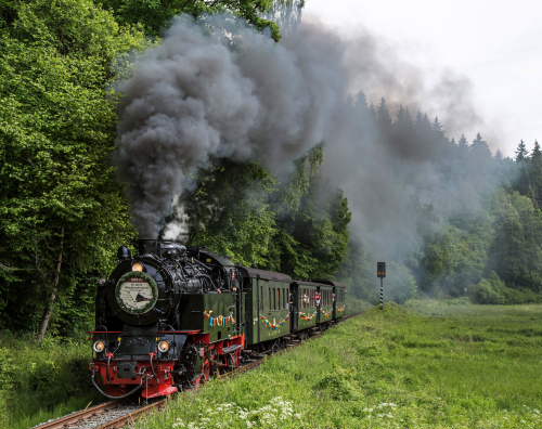 xSonderzug am 03 Juni 2014 auf dem Weg durchs Selketal