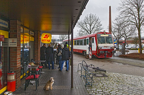 7 NEGvt4TorneschBhf16p220220 500px