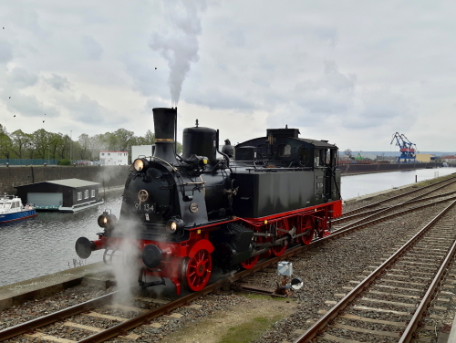 Die Schweriner 91 134 war nach langer Zeit wieder in Dresden zu Besuch. Am Freitag absolvierte sie im Dresdner Alberthafen Pendelfahrten und kam anschließen ins Bw Dresden-Altstadt. Foto: Alexander Schröter