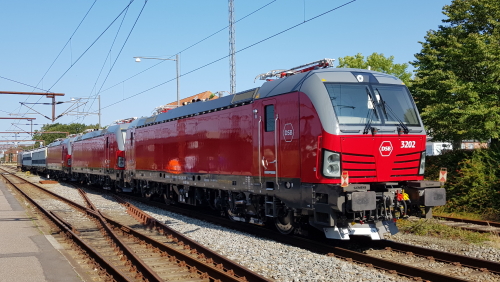 dsb1