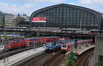 x350IMG 3120