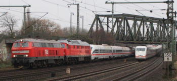 x350IMG 7440