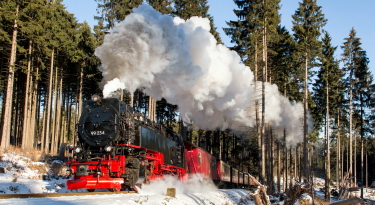 x375HSB 99234 21 01 2019 Foto HSB Dirk Bahnsen Kopie