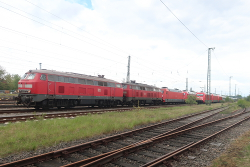 x3IMG 0834 Kopie