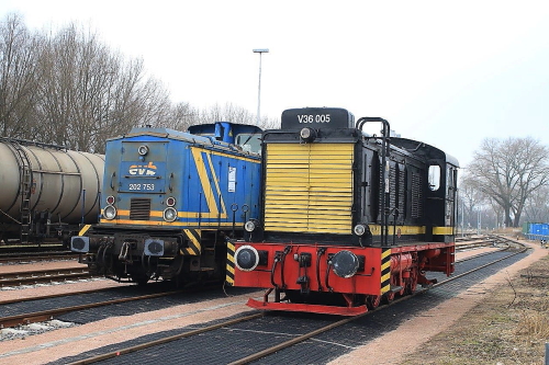 x500IMG 1344