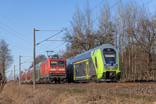 x500 IMG 7398