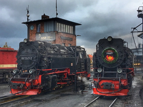 x5IMG 1549