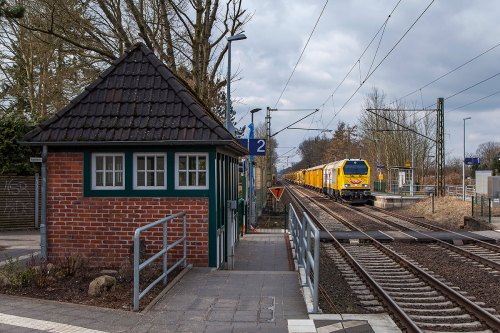 x5 Wiebe264011Prisdorf5p010418