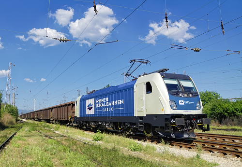 x5wlbTRAXX Kopie