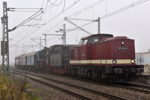 x5x50 3684 Transport Borstel 01 4c