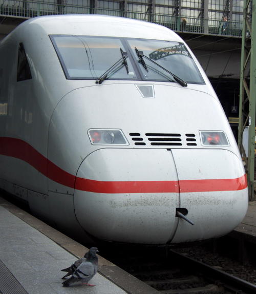x65 113