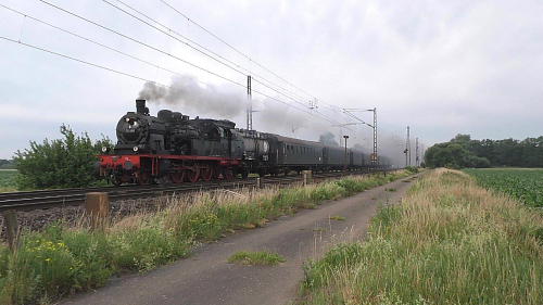 x78 468 Sagehorn