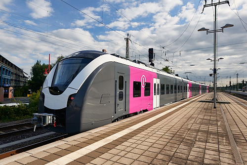 xDSC3842