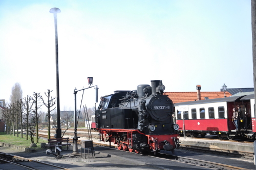 xDSC 0954k