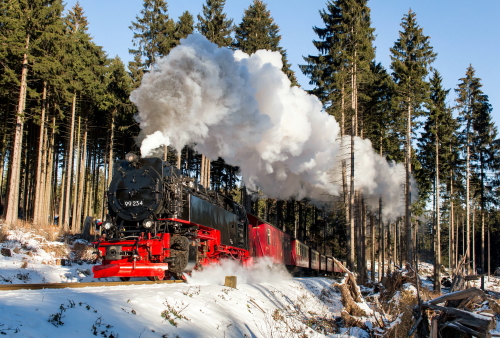 xHSB 99234 21 01 2019 Foto HSB Dirk Bahnsen