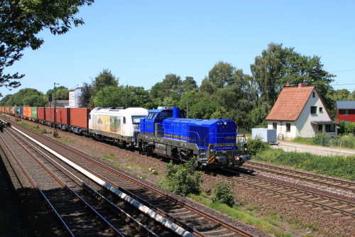 xIMG 2559