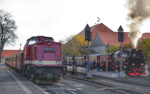 xIMG 4239