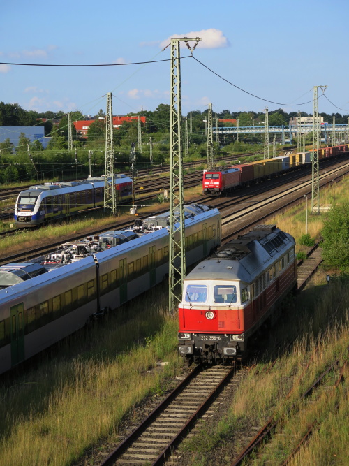 xIMG 8687