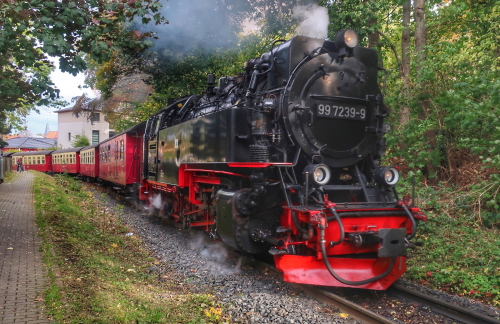 xIMG 9299