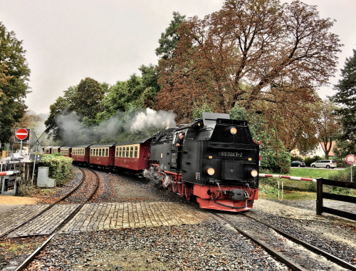 xIMG 9411