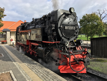 xIMG 9518