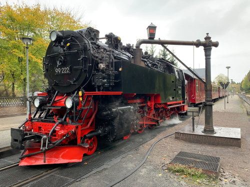 x5IMG 9268