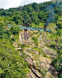 indien33