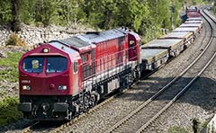 Foto: Volker Wittig