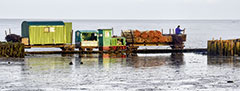 Foto: Jens Grünebaum