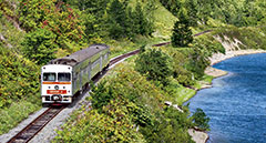Foto: Thomas Kabisch