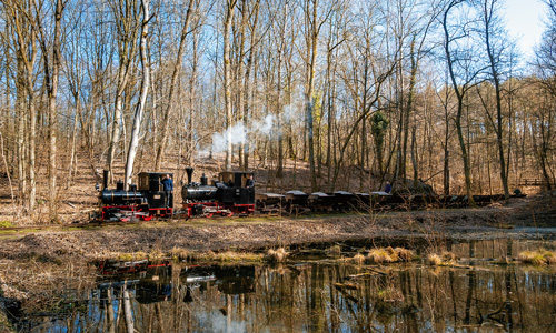 Feldbahnreste bei Lauenburg (Elbe), Eisenbahn-Kurier 9/2025